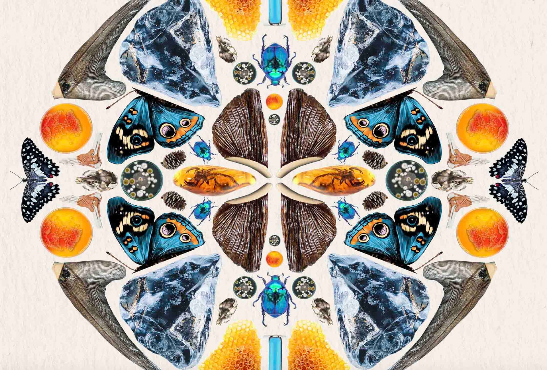 Symmetrical kaleidoscope artwork featuring blue butterflies, iridescent beetles, crystals, and orange circles in a mandala pattern.