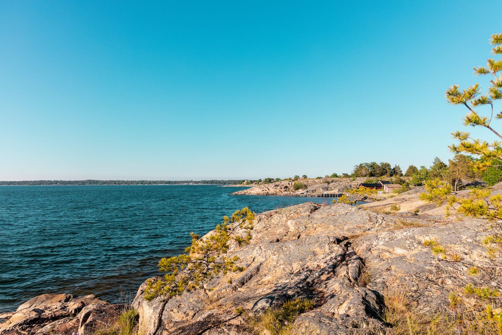 Rocky coastline with sparse pine trees, calm blue sea, a red building among trees, and a clear blue sky on a sunny day.